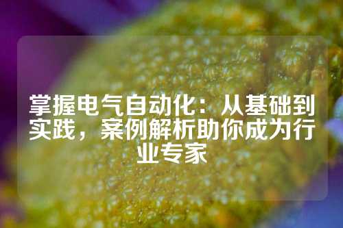 掌握电气自动化:从基础到实践,案例解析助你成为行业专家