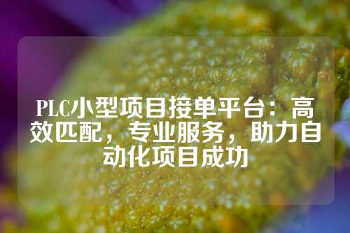 PLC小型项目接单平台：高效匹配，专业服务，助力自动化项目成功