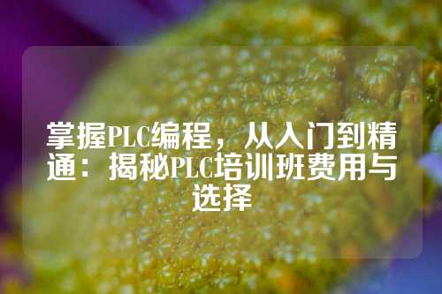掌握PLC编程，从入门到精通：揭秘PLC培训班费用与选择