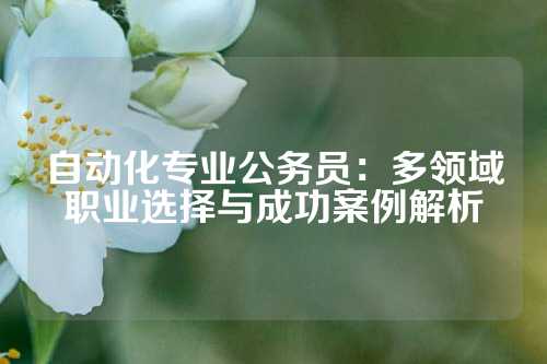 自动化专业公务员:多领域职业选择与成功案例解析