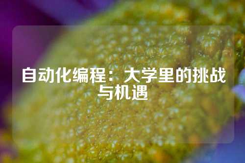 自动化编程：大学里的挑战与机遇