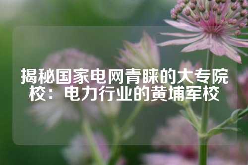 揭秘国家电网青睐的大专院校：电力行业的黄埔军校
