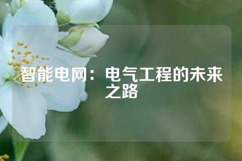 智能电网：电气工程的未来之路