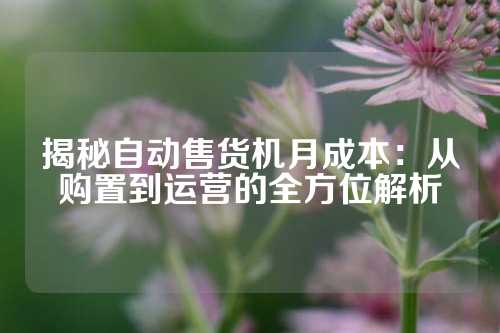 揭秘自动售货机月成本：从购置到运营的全方位解析