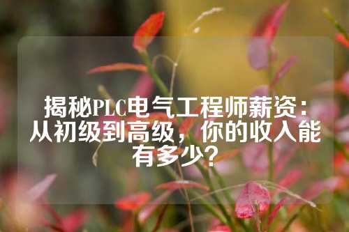 揭秘PLC电气工程师薪资：从初级到高级，你的收入能有多少？