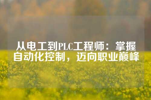 从电工到PLC工程师：掌握自动化控制，迈向职业巅峰