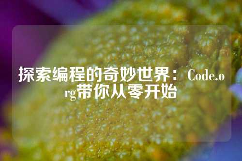 探索编程的奇妙世界：Code.org带你从零开始