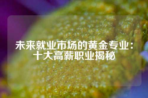 未来就业市场的黄金专业：十大高薪职业揭秘