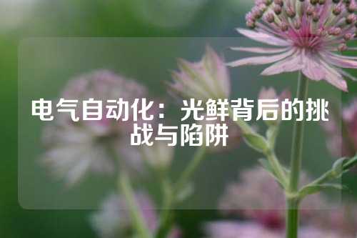 电气自动化：光鲜背后的挑战与陷阱
