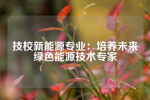 技校新能源专业：培养未来绿色能源技术专家