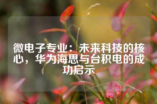 微电子专业：未来科技的核心，华为海思与台积电的成功启示