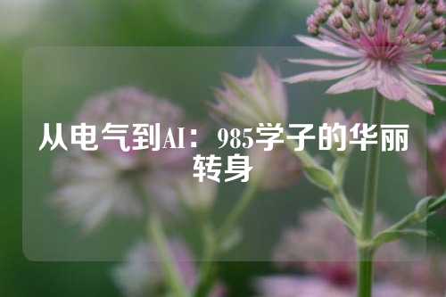 从电气到AI：985学子的华丽转身