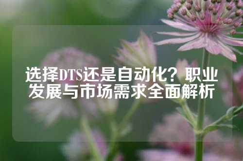 选择DTS还是自动化？职业发展与市场需求全面解析