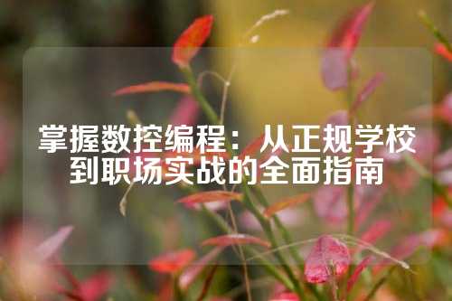 掌握数控编程：从正规学校到职场实战的全面指南
