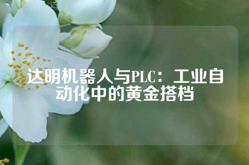 达明机器人与PLC：工业自动化中的黄金搭档