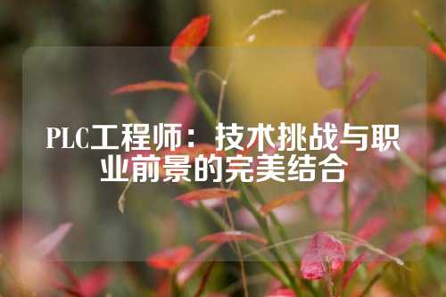 PLC工程师：技术挑战与职业前景的完美结合