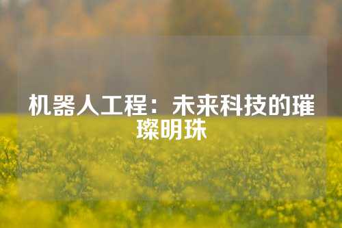 机器人工程：未来科技的璀璨明珠
