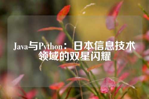 Java与Python：日本信息技术领域的双星闪耀