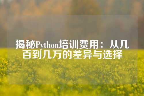 揭秘Python培训费用：从几百到几万的差异与选择