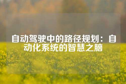 自动驾驶中的路径规划：自动化系统的智慧之脑