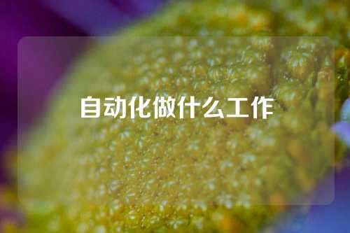 自动化做什么工作