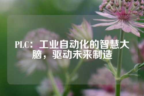 PLC：工业自动化的智慧大脑，驱动未来制造