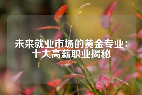 未来就业市场的黄金专业：十大高薪职业揭秘