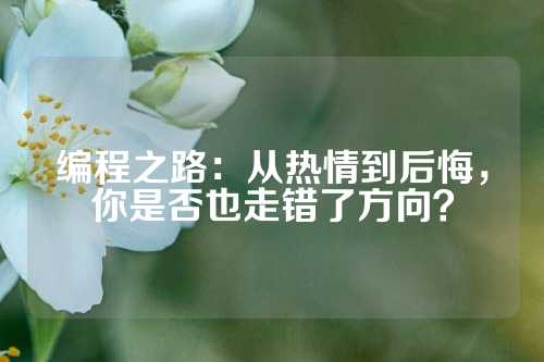 编程之路：从热情到后悔，你是否也走错了方向？