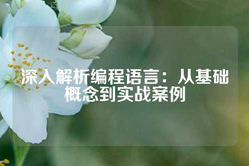 深入解析编程语言：从基础概念到实战案例