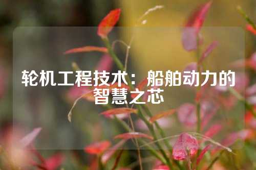 轮机工程技术：船舶动力的智慧之芯