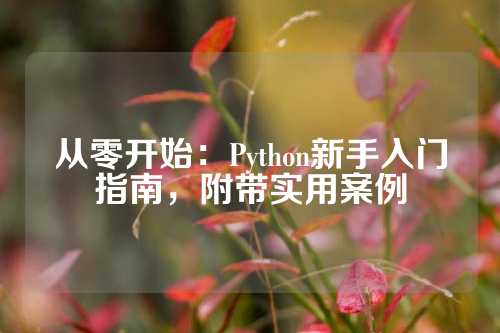 从零开始：Python新手入门指南，附带实用案例
