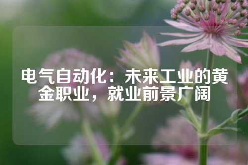 电气自动化：未来工业的黄金职业，就业前景广阔