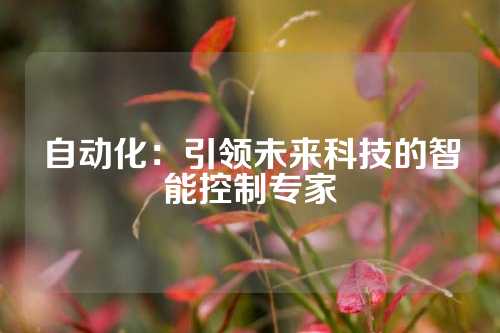 自动化：引领未来科技的智能控制专家