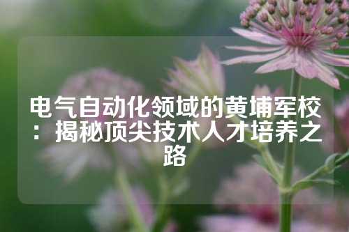 电气自动化领域的黄埔军校：揭秘顶尖技术人才培养之路