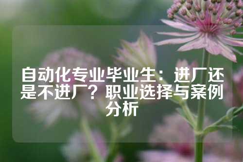 自动化专业毕业生：进厂还是不进厂？职业选择与案例分析