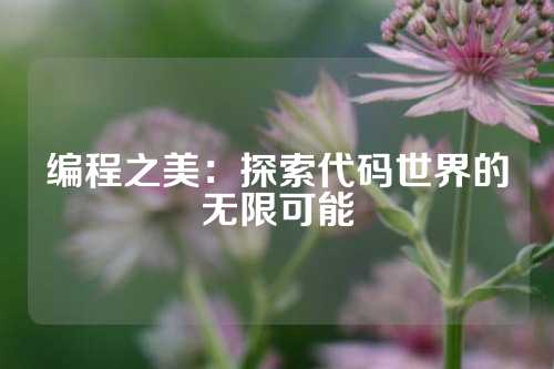 编程之美：探索代码世界的无限可能