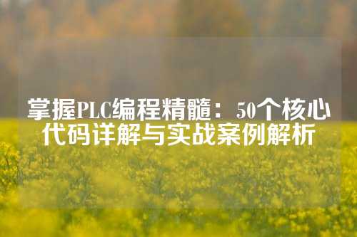 掌握PLC编程精髓：50个核心代码详解与实战案例解析