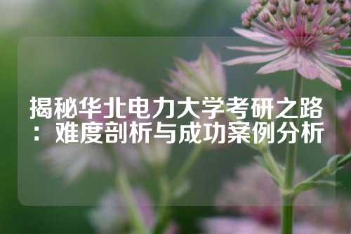 揭秘华北电力大学考研之路：难度剖析与成功案例分析