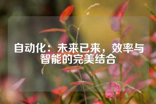 自动化：未来已来，效率与智能的完美结合