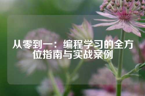 从零到一：编程学习的全方位指南与实战案例