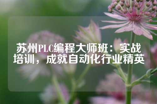 苏州PLC编程大师班：实战培训，成就自动化行业精英