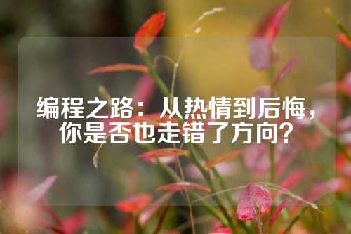 编程之路：从热情到后悔，你是否也走错了方向？