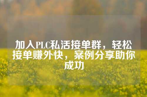 加入PLC私活接单群，轻松接单赚外快，案例分享助你成功