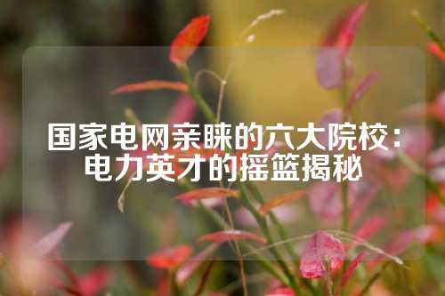 国家电网亲睐的六大院校：电力英才的摇篮揭秘