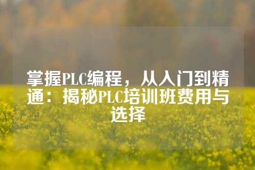 掌握PLC编程，从入门到精通：揭秘PLC培训班费用与选择