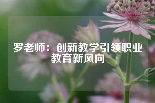 罗老师：创新教学引领职业教育新风向