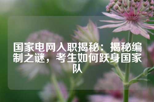 国家电网入职揭秘：揭秘编制之谜，考生如何跃身国家队