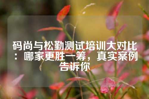 码尚与松勤测试培训大对比：哪家更胜一筹，真实案例告诉你