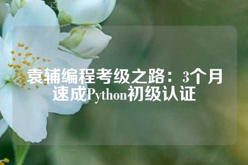 袁辅编程考级之路：3个月速成Python初级认证