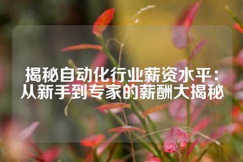 揭秘自动化行业薪资水平：从新手到专家的薪酬大揭秘